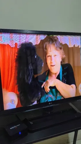 Vendo TV LG 42