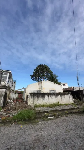 Limpeza de Terrenos | Demolições | Terraplenagem e Serviços Gerais
