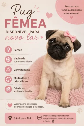 VENDO PUG FÊMEA 