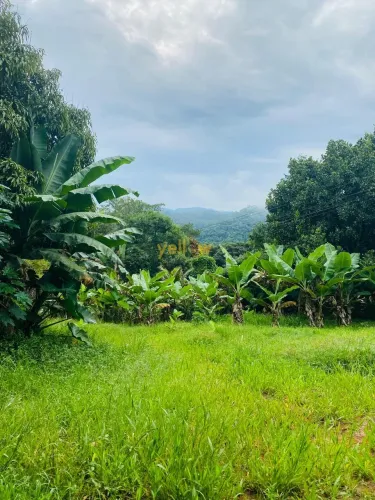 Sítio em Mirante - Arujá