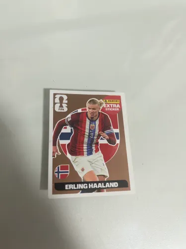 Erling Haaland bronze!!