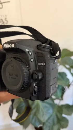 Nikon D7500 12k clicks