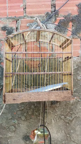 Gaiola usada