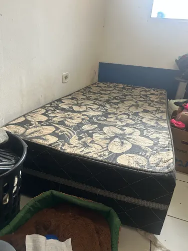Bicama box solteirão 
