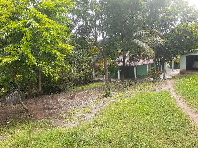 Sítio em Timbaúba