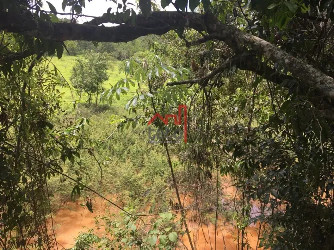 Terreno - Onça de Pitangui - Venda
