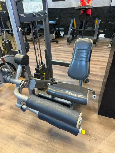 Cadeira Flexora Wellness Impulse