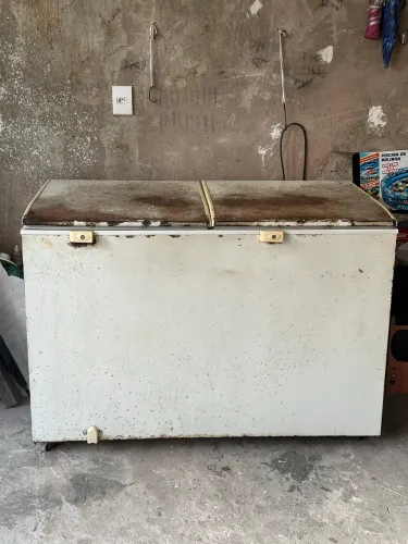 Freezer Electrolux