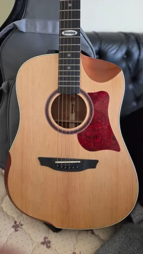 Violão strinberg sd201hcr