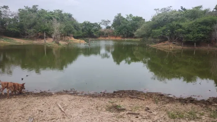 FAZENDA À VENDA / BREU BRANCO