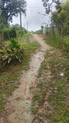 Terreno