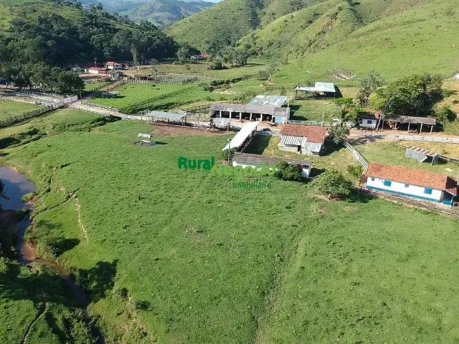 FAZENDA COMPLETA E BELA TOPOGRAFIA À VENDA EM GUARATINGUETÁ-SP