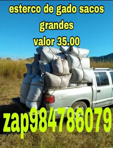 Esterco de gado, terra preta e substratos
