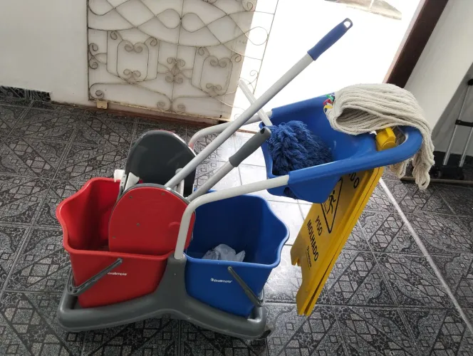 Carrinho completo limpeza