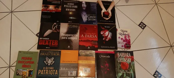 Livros novos maravilhosos, com cheiro de livro novo, sem avarias