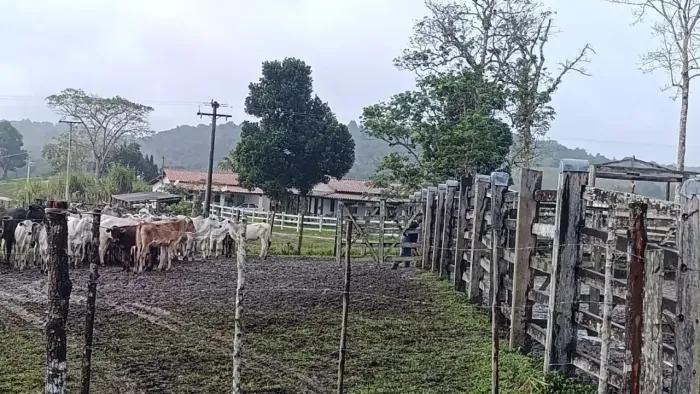 Áreas à venda, ZONA RURAL, Santa Luzia, BA