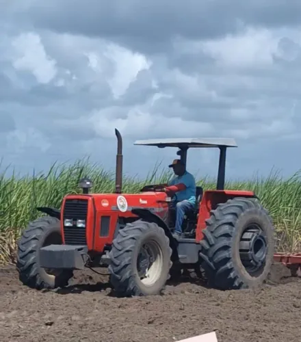 Trator massey 299