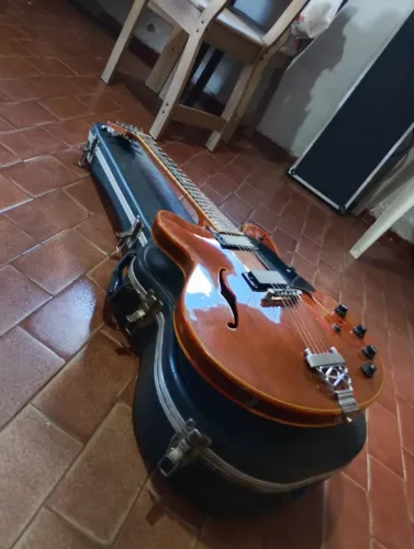 Guitarra Giannini Diamond