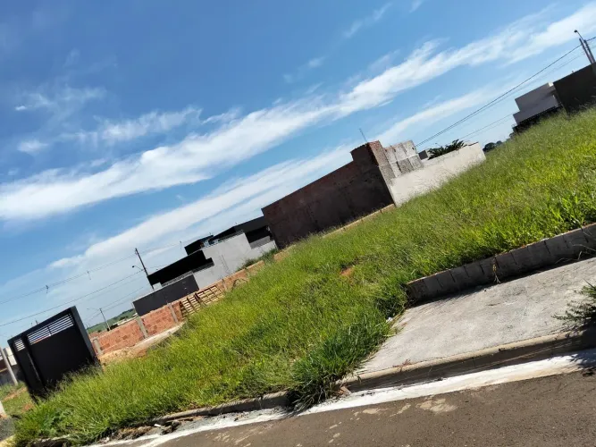 Terreno