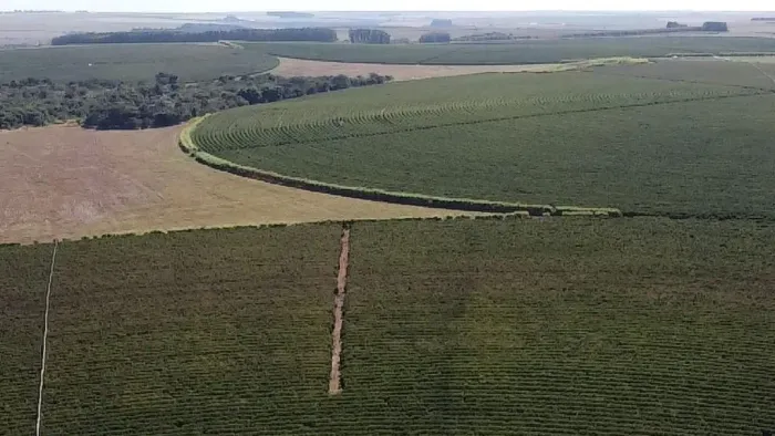 FAZENDA COM 1.000 HECTARES EM NA REGIÃO DE UNAÍ MG