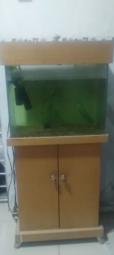 Aquário completo para venda !!!!!