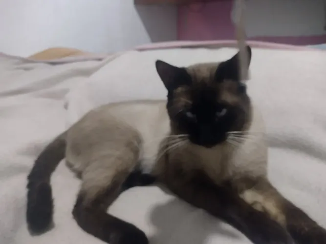 Doação