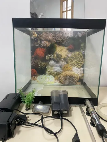 Aquário 40 litros