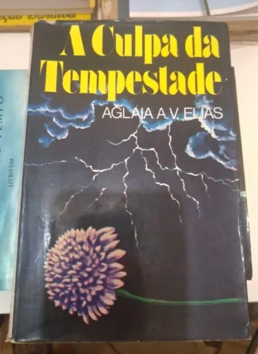 Baixou o preço... LIVRO - A CULPA DA TEMPESTADE