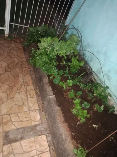 faço serviços de limpeza de pátios, pinturas