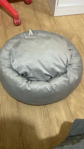 Caminha para pet