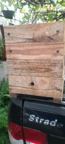 CAIXA DE MEL JATAI SEM ABELHAS 