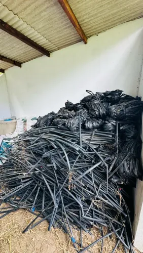 LOTE COMPLETO DE MANGUEIRAS E ASPERSORES PARA IRRIGAÇÃO - GOTEJAMENTO E ASPERSÃO