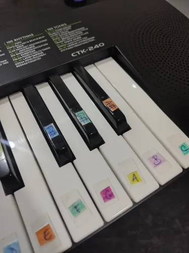 Teclado Casio CTK-240 (Estado de novo!)
