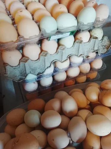 Ovos caipira disponíveis 
