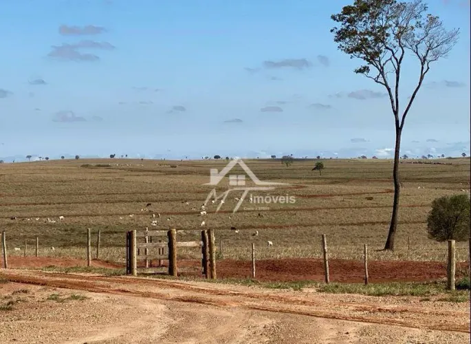 FAZENDA A VENDA NA REGIÃO DE PRESIDENTE VENCESLAU - SP