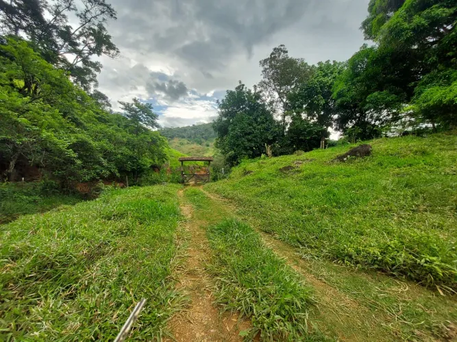 Sítio 4,6 hectares