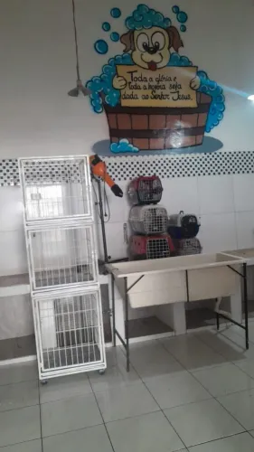Vendo Kit Pet Banho e Tosa completo.
