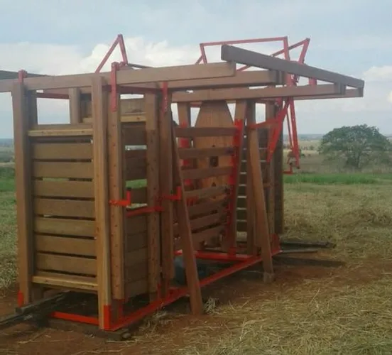 Tronco de Contenção Para Gado Embutido