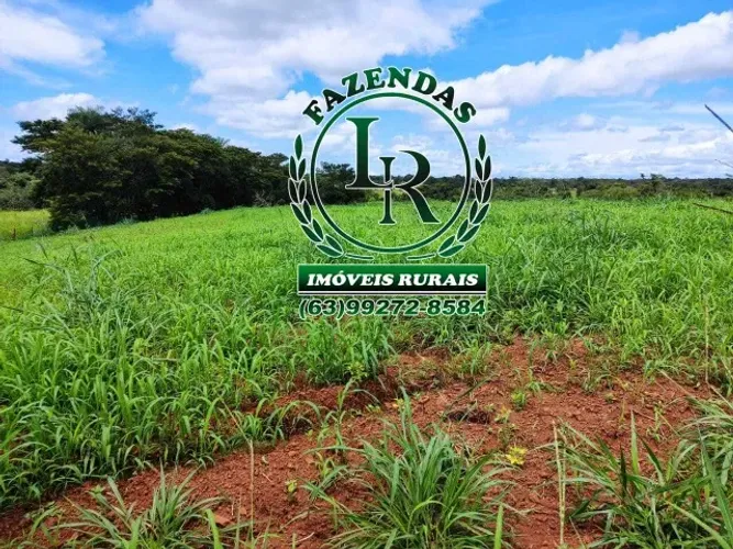Fazenda 56 Alqueires Paraiso Tocantins
