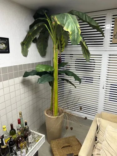 Planta de Banana Artificial para Decoração exclusivo