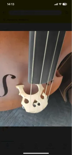 vendo contra baixo acústico maciço Stanford , muito novo analiso trocas