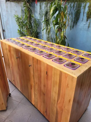 Balcão de guloseimas 