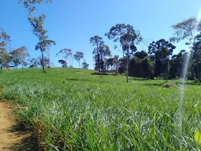 VENDE SE LINDA FAZENDA 203 HECTARES UNA BA PRONTA PARA PLANTAR CAFE 
