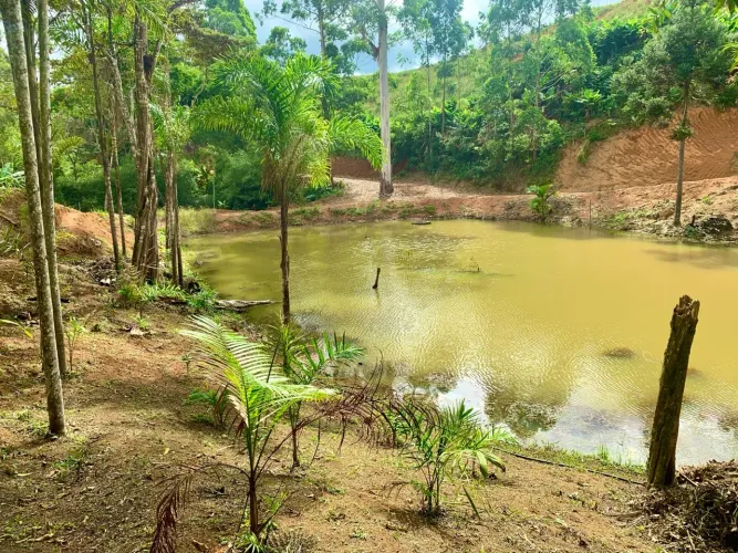 Ocasião! Lindo Sítio em Santa Teresa a 7 km da Cidade