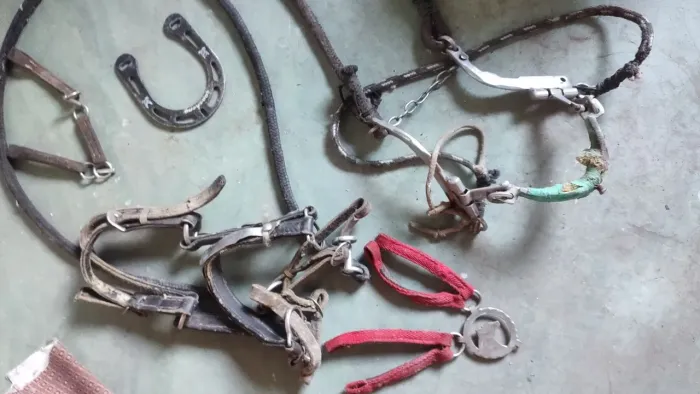 Vendo cabresto de cavalo