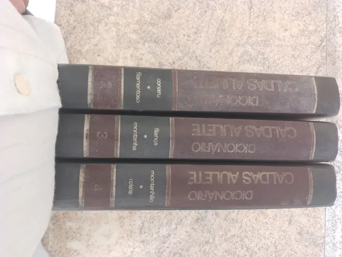 Dicionário Caldas Aulete - Volumes 2,3 e 4