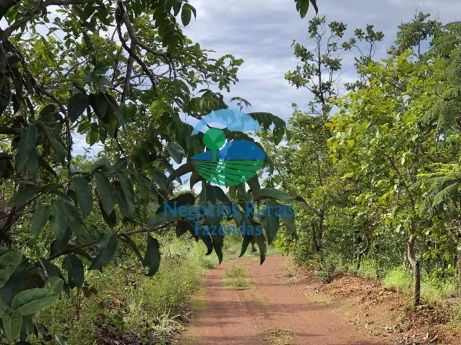Fazenda 70 Alqueires ou 338 Hectares possibilidade de arrendo cana