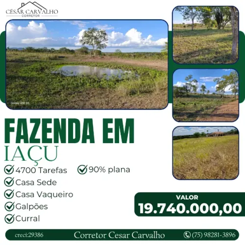 FAZENDA EM IAÇU - 4700 TAREFAS