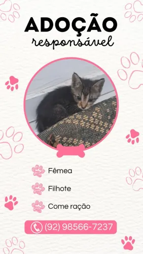 Filhotes para adoção