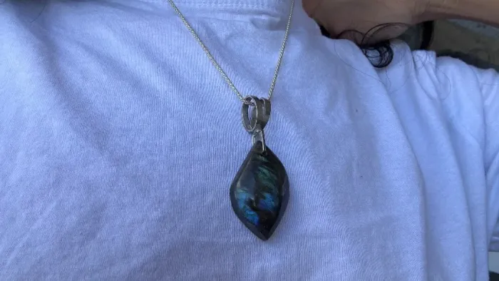 Pingente Abalone Prata 925